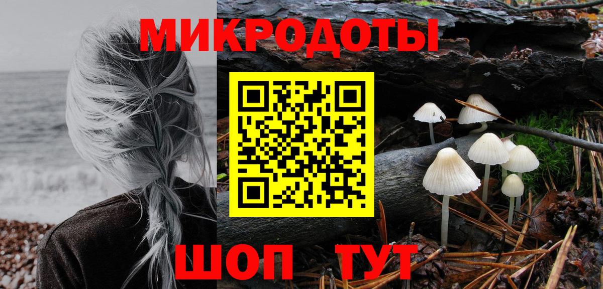 Черняховск  Галлюциногенные грибы Cubensis  Вход с VPN 