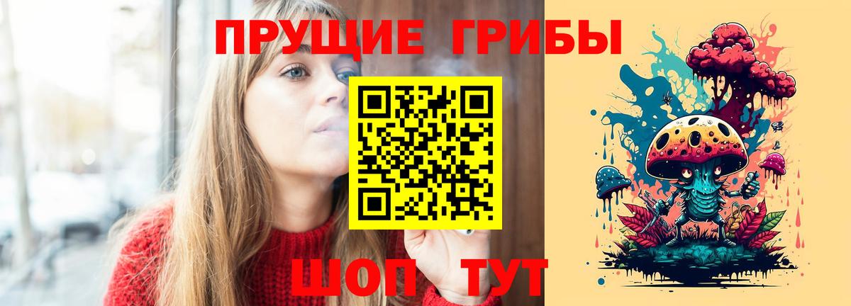 Псилоцибиновые грибы Psilocybine cubensis Черняховск